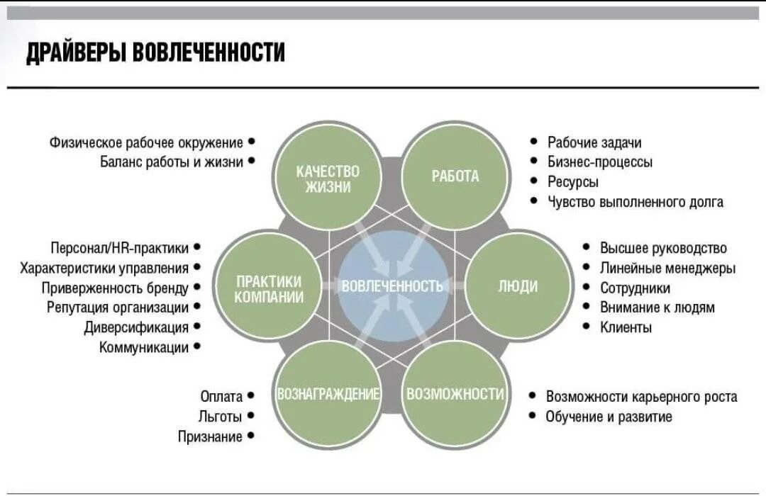 Организация собственной службы. Факторы влияющие на вовлеченность персонала. Методы оценки вовлеченности персонала. Вовлеченность в процесс. Факторы вовлеченности персонала в организационные.