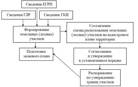 Учет лесных участков