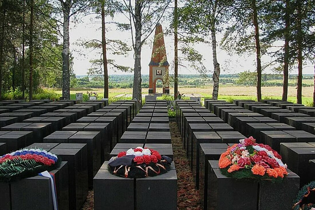 Поиск памяти вов. Бельский район деревня плоское мемориал. Бельский район д.плоское мемориальный комплекс воинам сибирякам. Памятник воинам сибирякам в Тверской области г белый. Мемориал в д плоское Бельский р-он Тверской области.