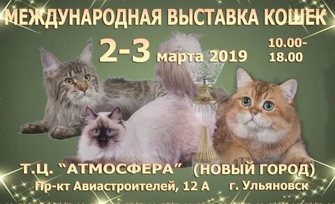 Выставка кошек балаково
