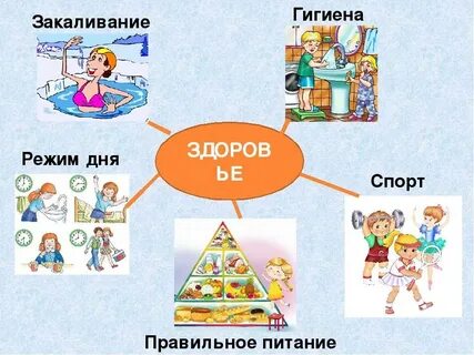 Гигиена и режим питания детей