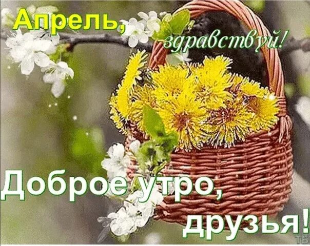 Доброе весеннее утро среды и хорошего настроения. Открытки с добрым утром весенние. доброго весеннего солнечного дня. пожелания с добрым весенним утром. доброе весеннее утро.