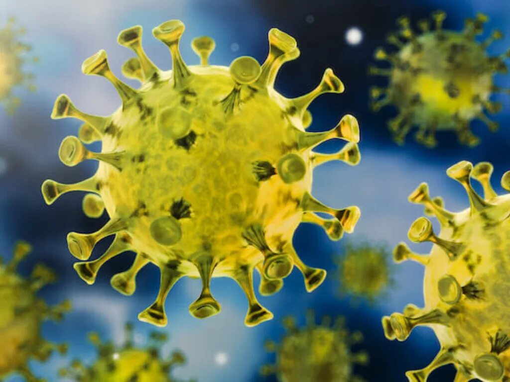 Памятка коронавирус. Коронавирус панические. Covid 19 prevention. Вирус covid-19. Симптомы профилактика.