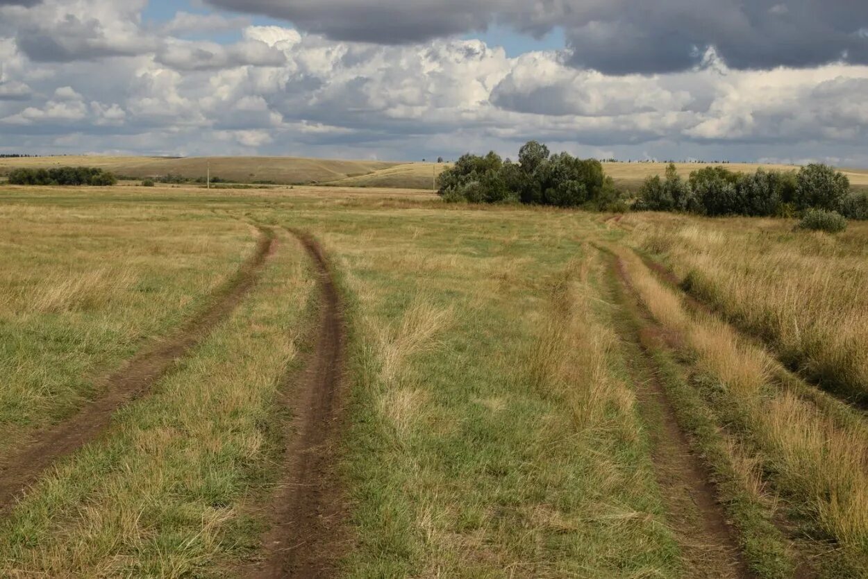 Проселочная дорога степь. Дорога в степи. Степные дороги. Проселочная грунтовая дорога.