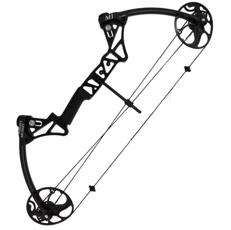 Compound bow лук. Лук блочный junxing m131. Блочный лук mathews. Лук охотничий лучший. Pse stinger max ss.