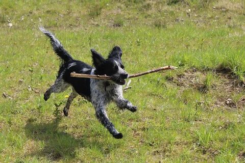 Fetch body