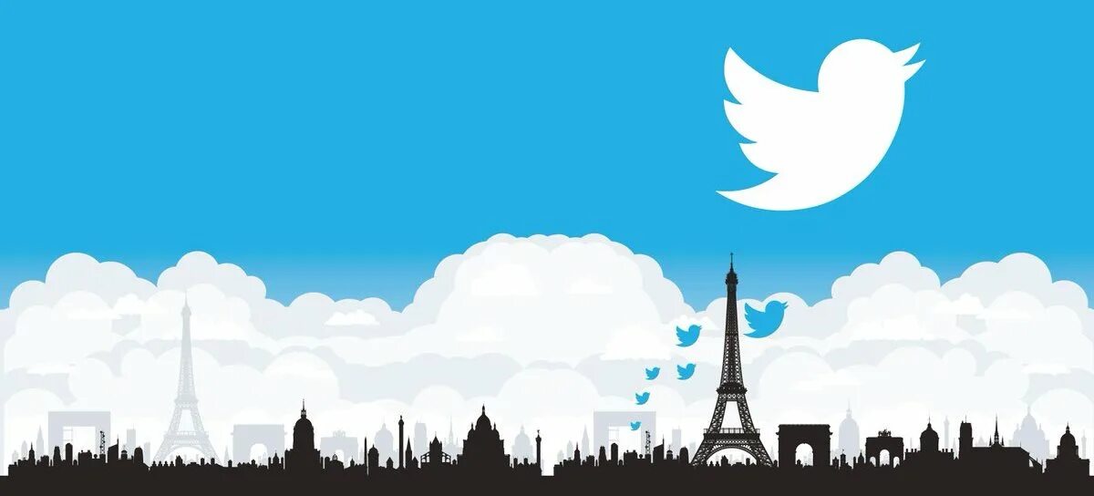 Net twitter binor. Twitter france. @rionior in twitter.