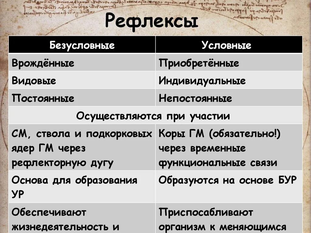 Приобретенные рефлексы человека. Uslovnyje i bezuslovnyje refleksy primery. Условные и безусловные рефлексы. Условные и безусловные рефлексы таблица. Условные рефлексы примеры.