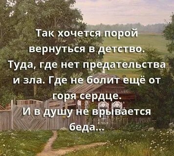 Цитаты вернуться
