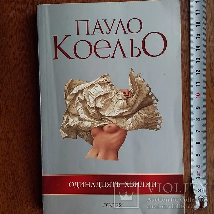 Займет 11 минут. Паоло Коэльо одиннадцать минут. Книга 11 минут Паоло Коэльо. Одиннадцать минут Пауло Коэльо книга. Одиннадцать минут книга.