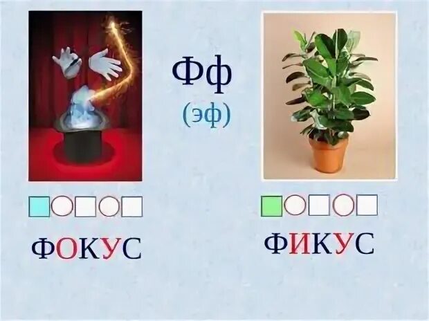 Фикус слова. Фикус звуковая схема. Звуковой анализ фикус. Схема слова фокус. Звуковой анализ слова фокус.