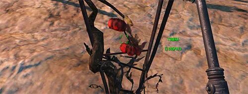 Мутафрукт fallout. Fallout 4 уничтожить яйца болотников не выполняется. Ферма финча fallout 4. Fallout 4 мутафрукт id. Мутафрукт фоллаут 76.