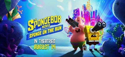 Sponges spongebob