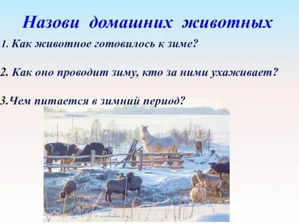 Как провести зиму