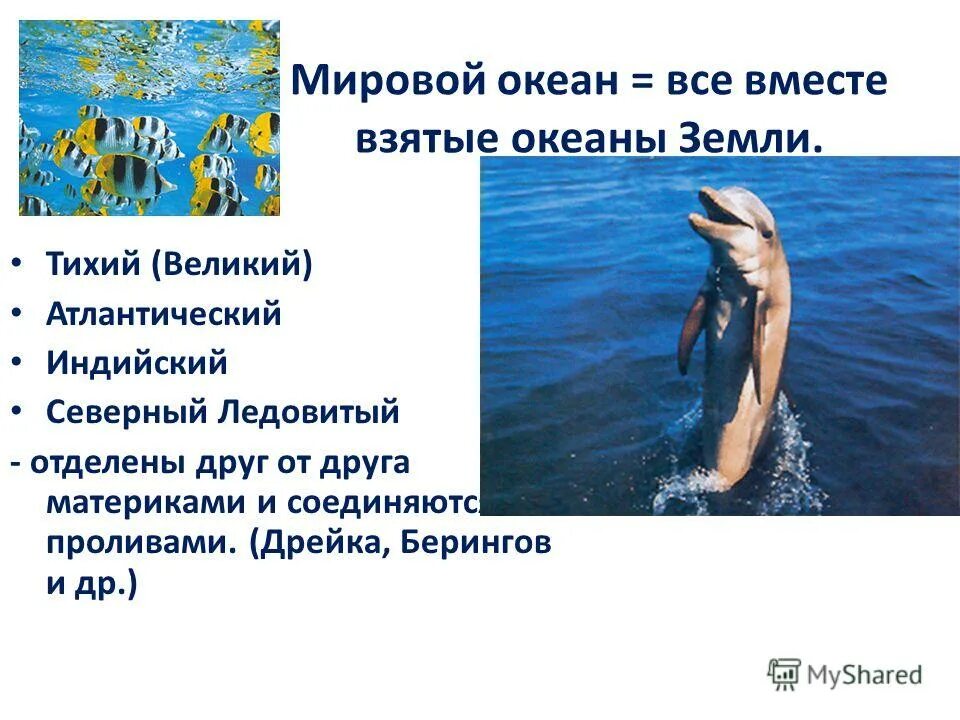 Перед самым выходом в океан мы брали. Самый маленький океан на земле. Перед самым выходом в океан мы брали. Издавна запятая. Перед самым выходом в океан мы брали.