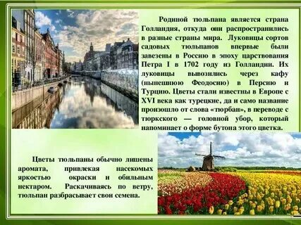 Почему нидерланды высокие