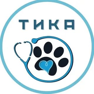 Тик 16