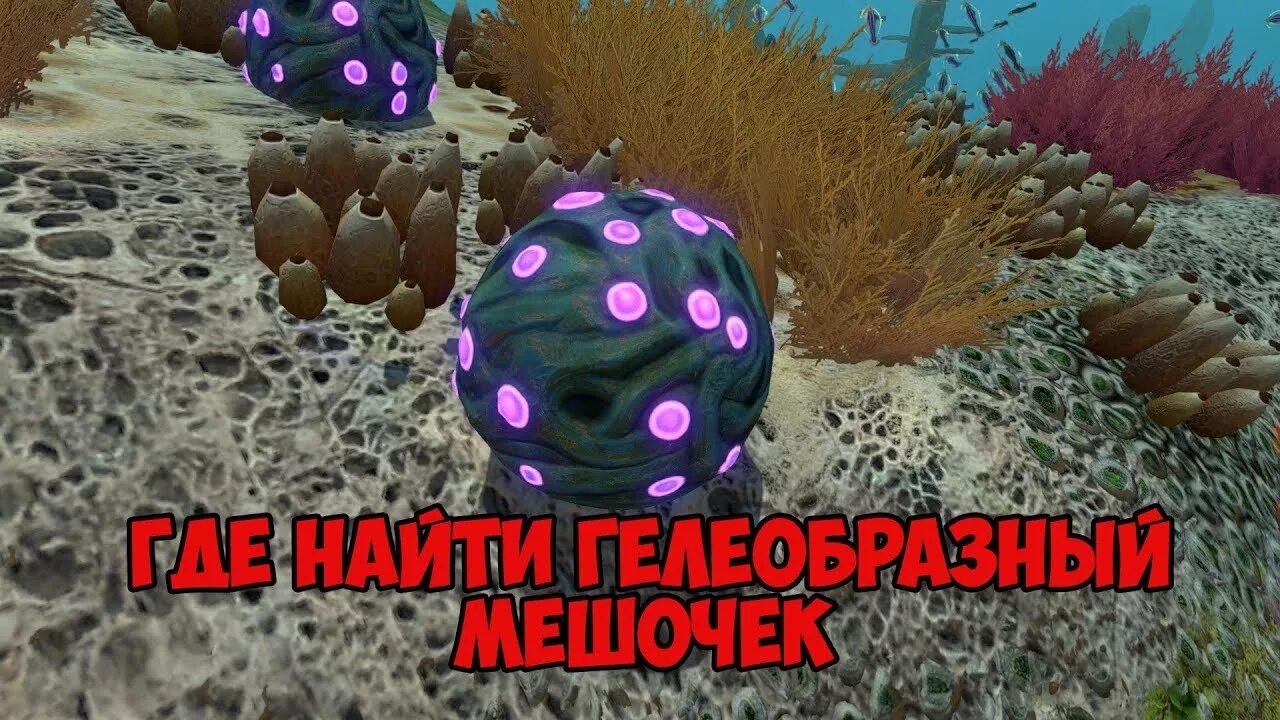 Subnautica гелеобразный мешочек где найти его в новой версии - YouTube