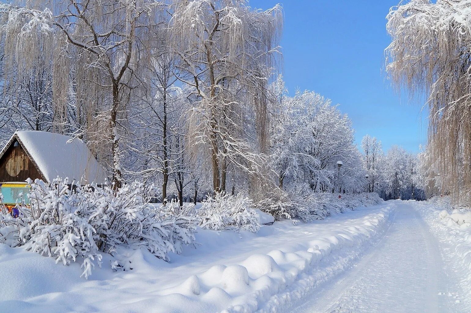 Снежная зима к какому лету. Зимняя природа. Зима пейзаж. Красивая зима. Красота зимы.