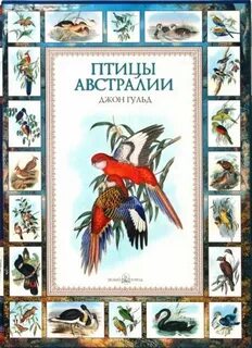 Издательство белая птица