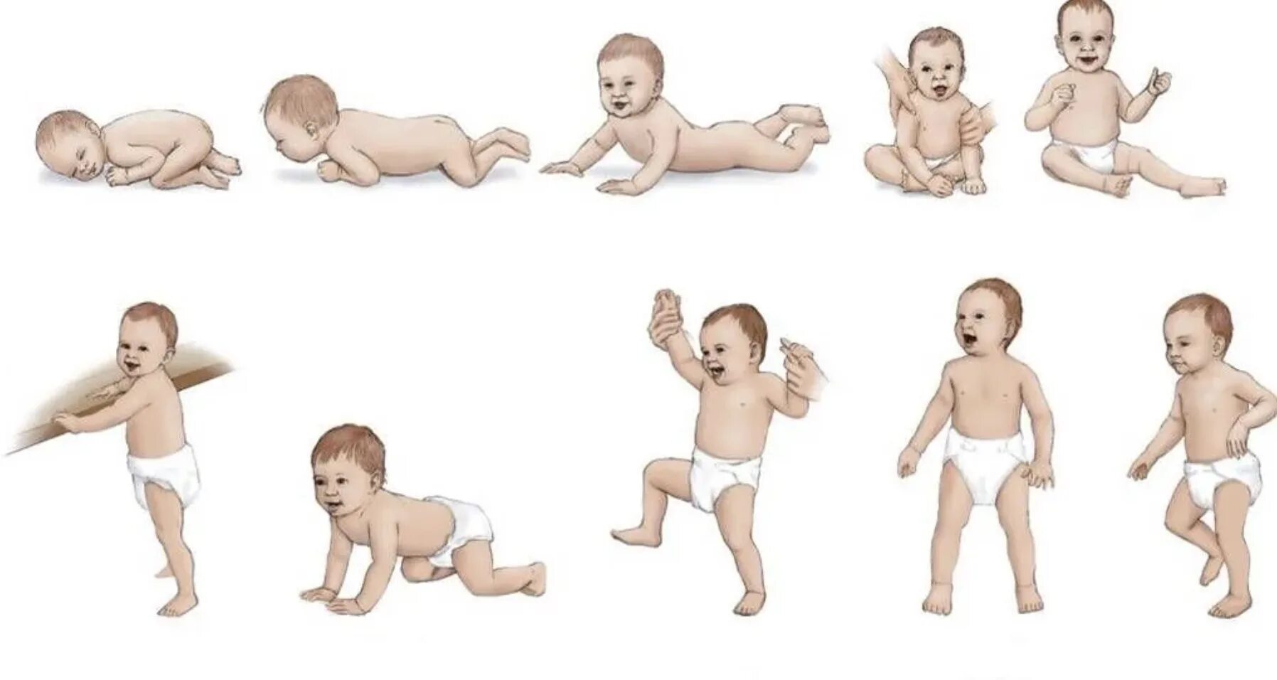 Схема развития ребенка. Этапы развития грудного ребенка. Стадии развития ребенка до года. Когда дети начинают ползать. Поэтапное развитие ребенка