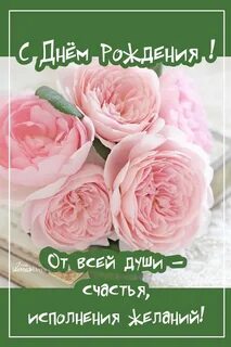 Идеи на тему "Открытки" (180) с днем рождения, поздравительные открытки, открытк
