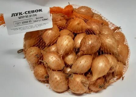 Лук севок озерский описание сорта отзывы