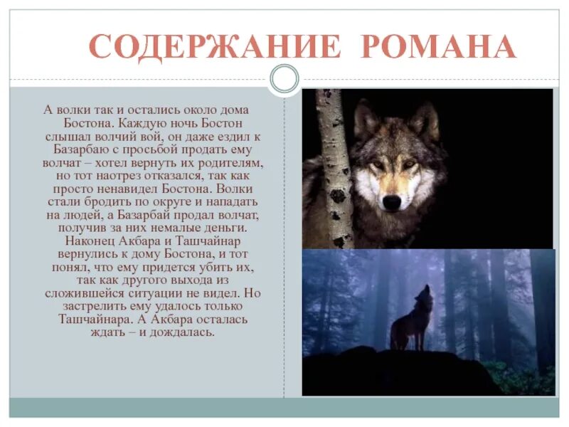 Выйти из кадра краткое содержание