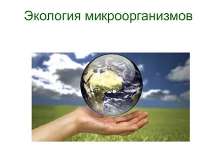 Окружающее появляться