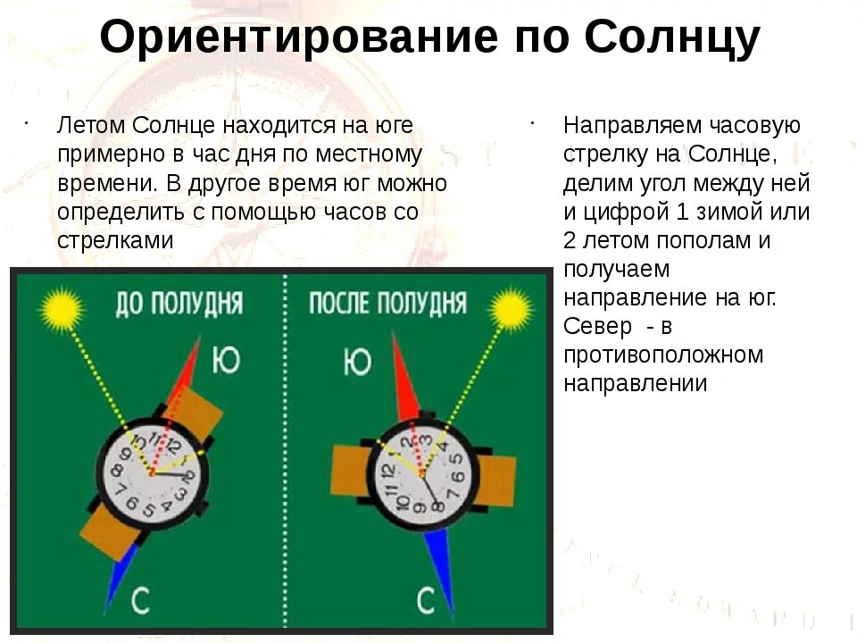 На какой стороне горизонта встает. Ориентирование с помощью часов и солнца. Ориентирование без компаса по солнцу.