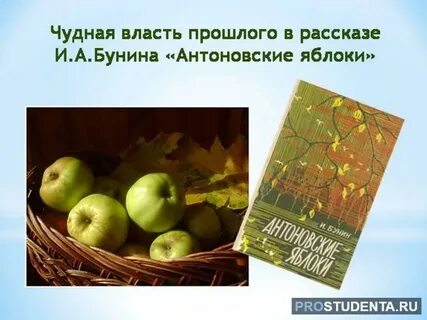 Бунин рассказ яблоки