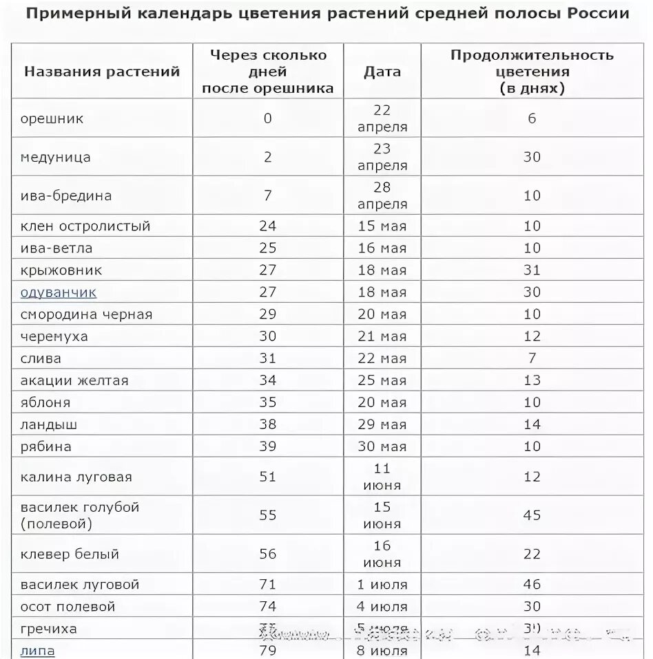Время средней полосы