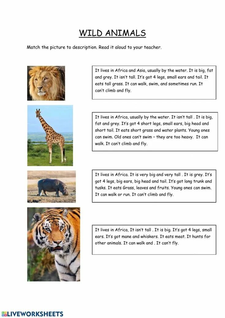 Читать animals. Дикие животные worksheets. animals reading worksheets. reading about animals worksheets for kids. animals worksheets intermediate.