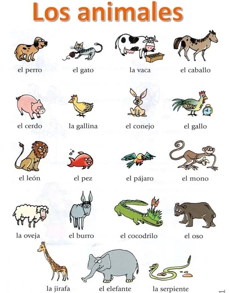 Уроки немецкого языка животные. Животные в немецком языке с артиклями. Животные на немецком языке. Названия животных на немецком языке. Не животные.