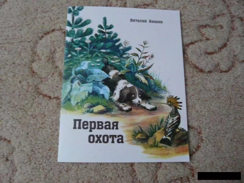 Бианка охота. Рассказ бианки 1 охота.