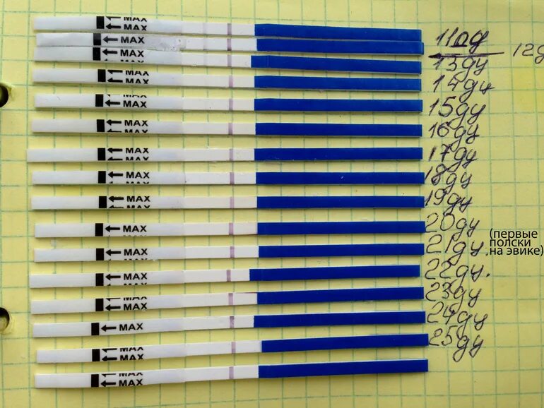 11 день после овуляции. после инсеминации тест отрицательный. тест после инсеминации. 12 день после зачатия тест отрицательный. 14 день после овуляции.