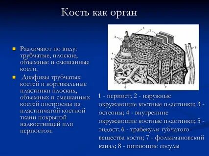 Костные пластины
