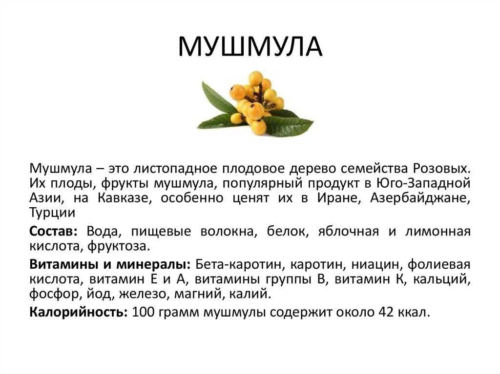 Польза мушмулы для организма