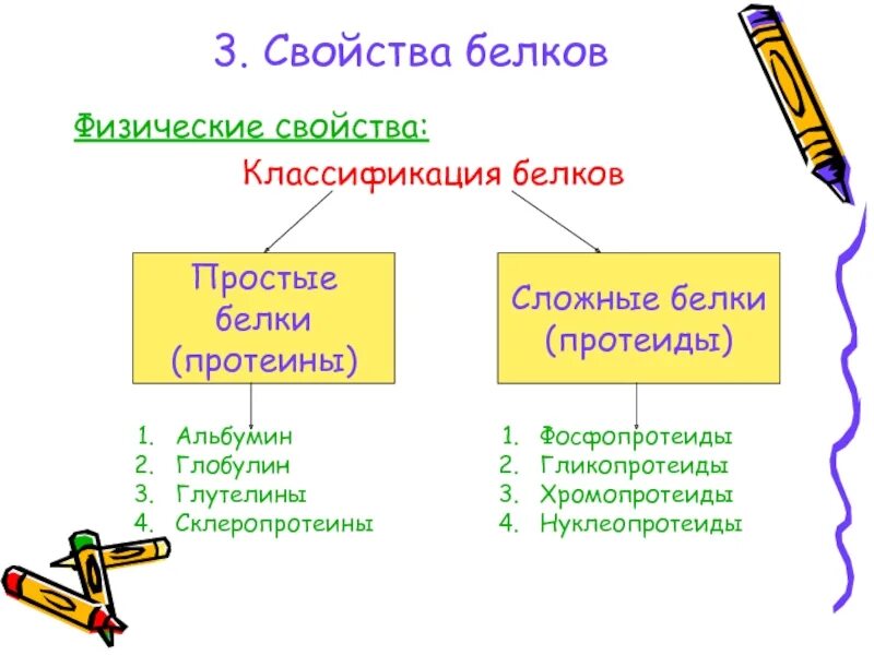 Группы сложных белков. Сложные белки протеиды. Классификация белков простые и сложные белки. Классификация протеидов. Открытие простых и сложных белков в питании человека.