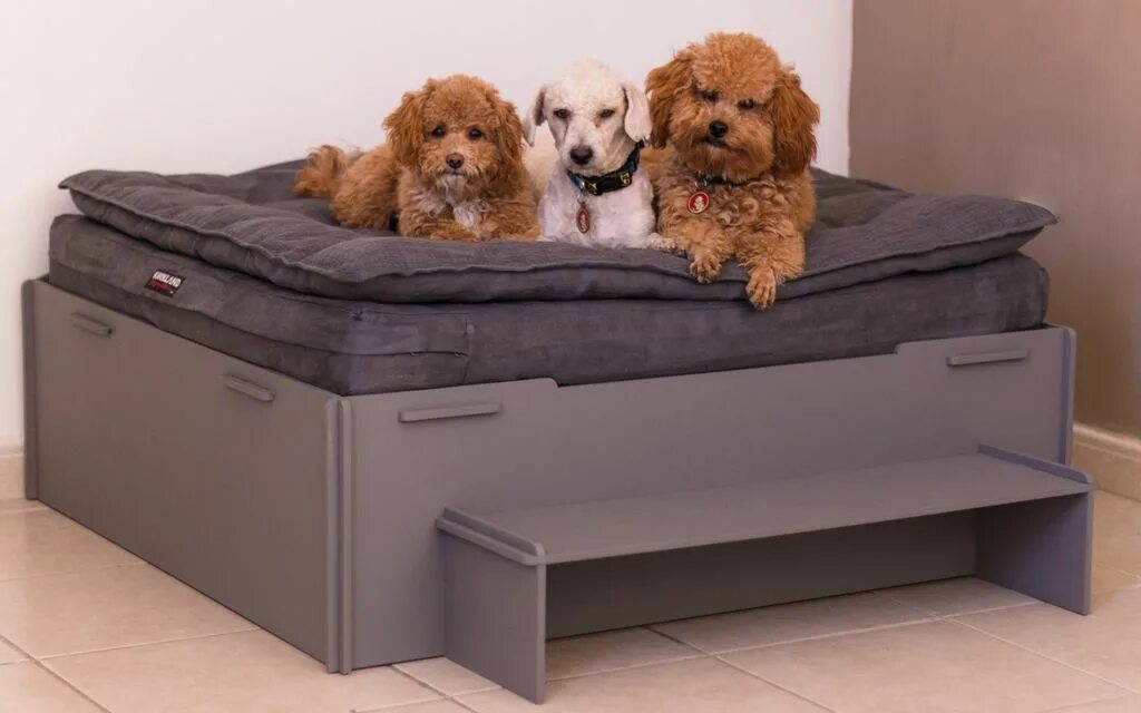 Собачья кровать для человека. Кровать для собаки. Огромная собачья кровать. Гигантская собачья кровать. Кровать для больших собак для квартиры.