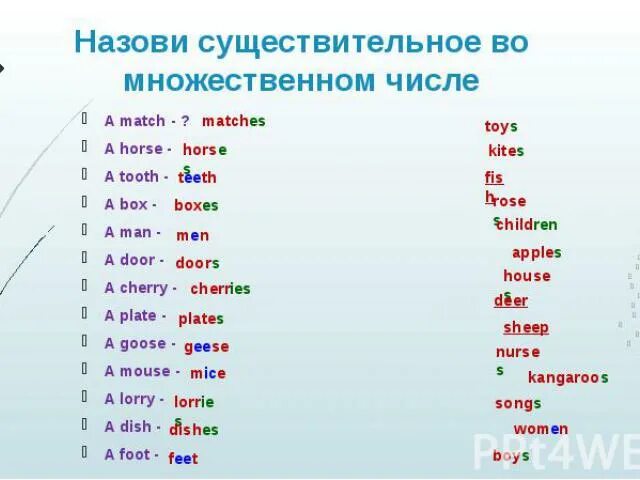 Очки существительное множественного числа. Множественное число. правильная форма множественного числа. matchмножествееное число. существительные множественного числа.