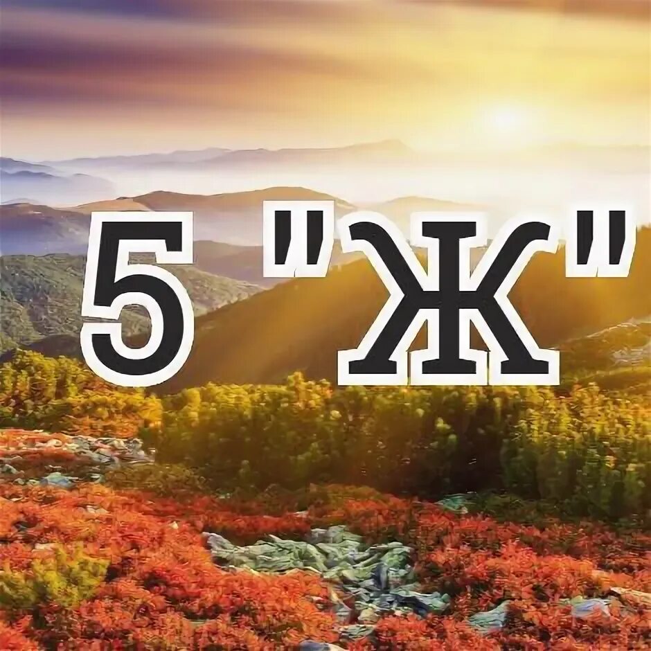 Что такое 5 ж