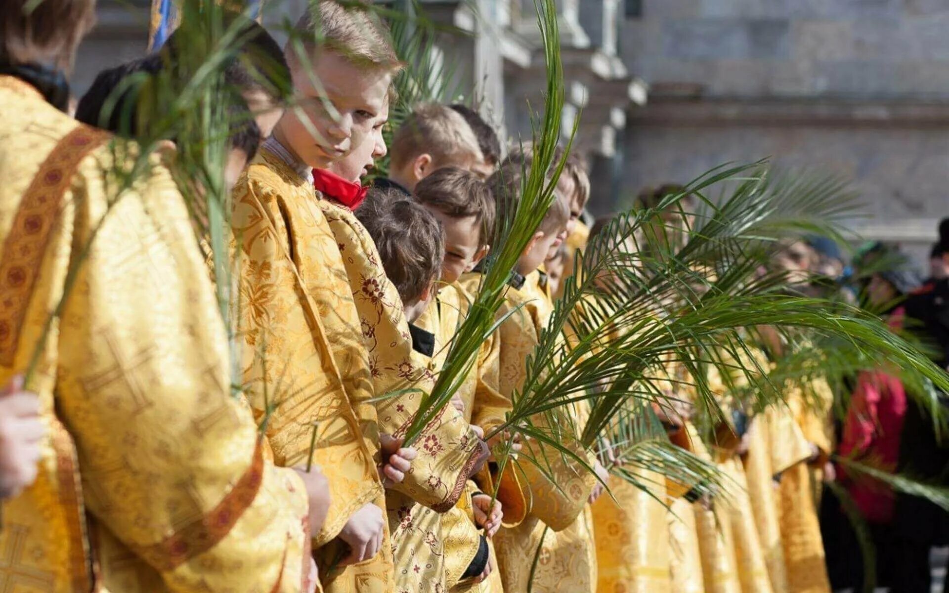 Вербное воскресенье армянское. Католическое «пальмовое» воскресенье (Palm Sunday). Пальмовая ветвь Иерусалим. Вход Господень в Иерусалим пальмовые ветви. Вербное Воскресение пальмы Иерусалим.