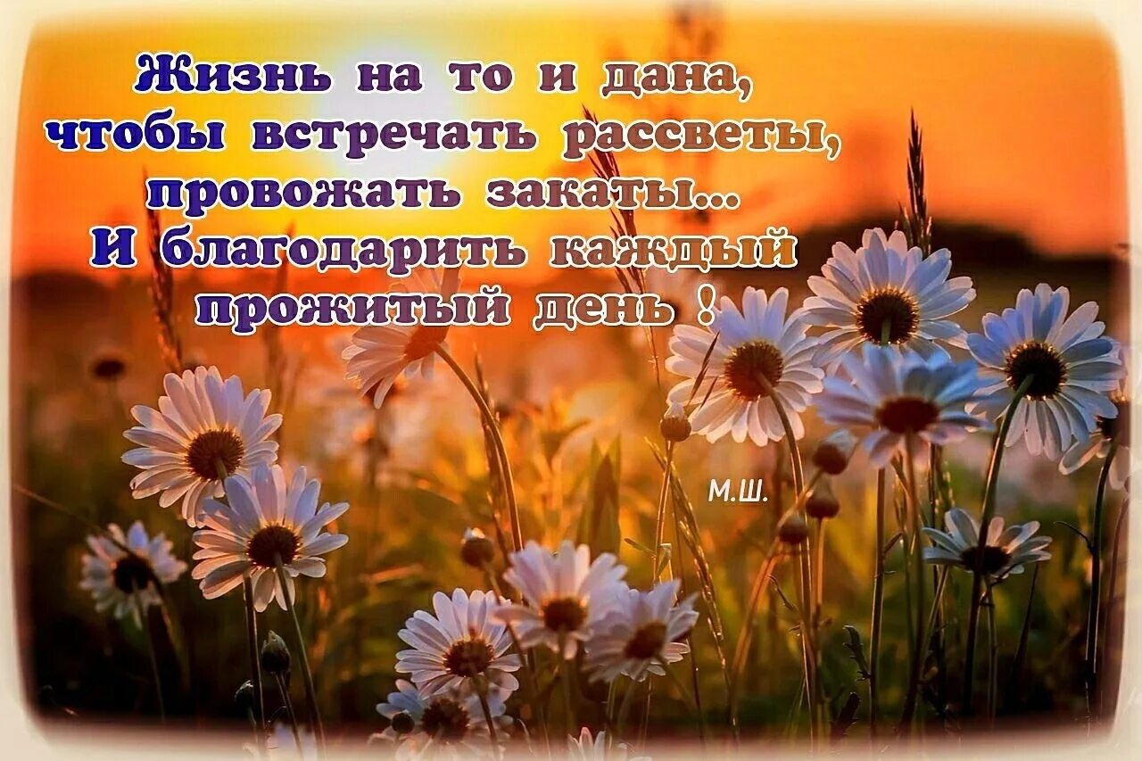 Песня провожали мы закат приходи. Встречаю рассветы и провожаю закаты и благодарю за прожитое.