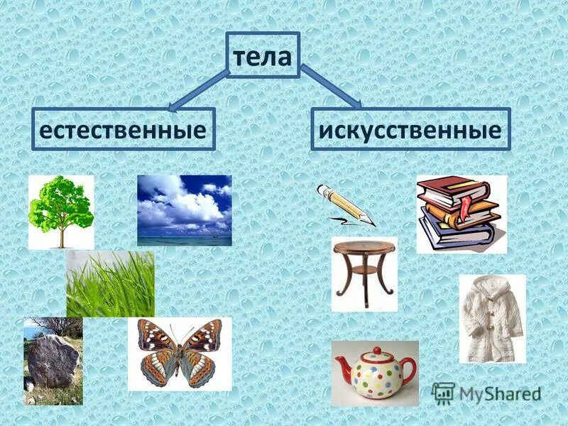 На рисунке стр 20 изображены только искусственные. На рисунке стр 20 изображены только искусственные