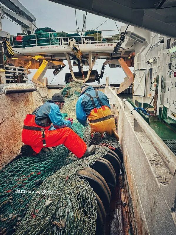 Начальник палубной команды на судне. Начальник палубной команды на судне. Корабельные работы на корабле. Драить палубу корабля. Швартовка в море.