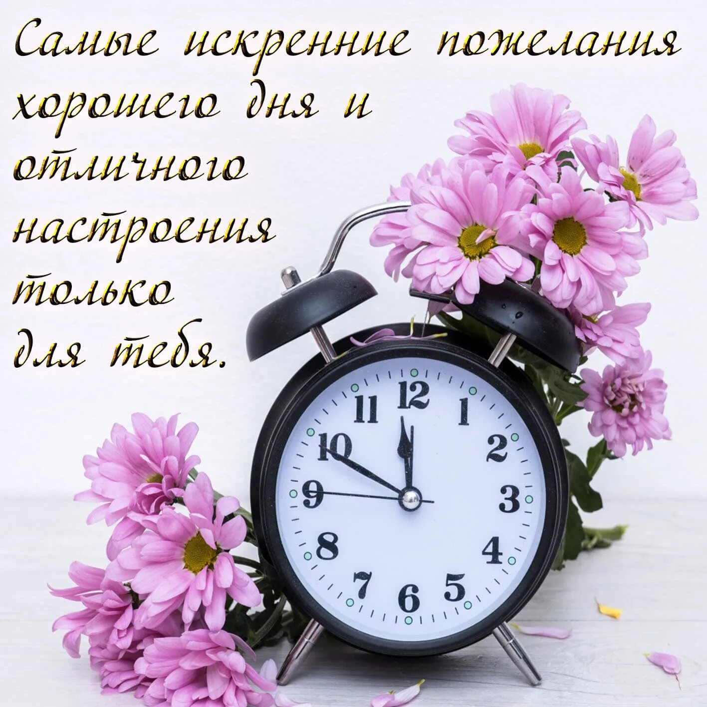 Открытки на сегодняшний день. Часы "цветок". Цветочные часы. Открытки хорошего дня. Хорошего дня и отличного настроения.