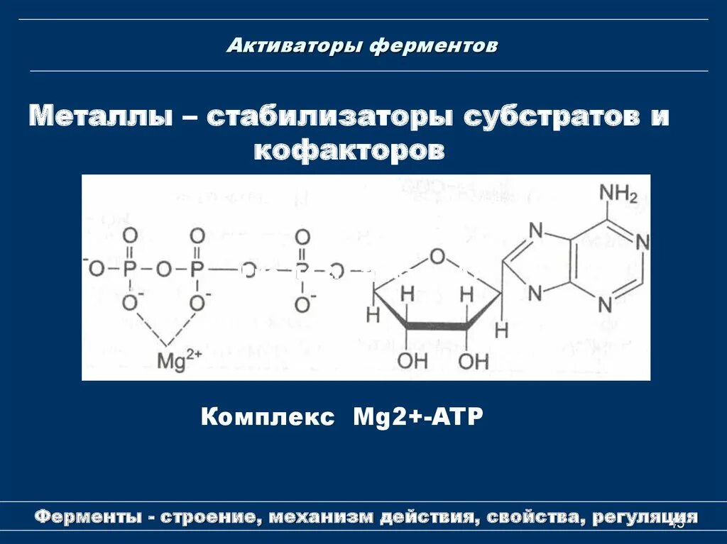 Сухие ферменты. Активаторы ферментов. Активаторы ферментов механизм. Активаторы ферментов примеры. Активаторы ферментативных реакций.