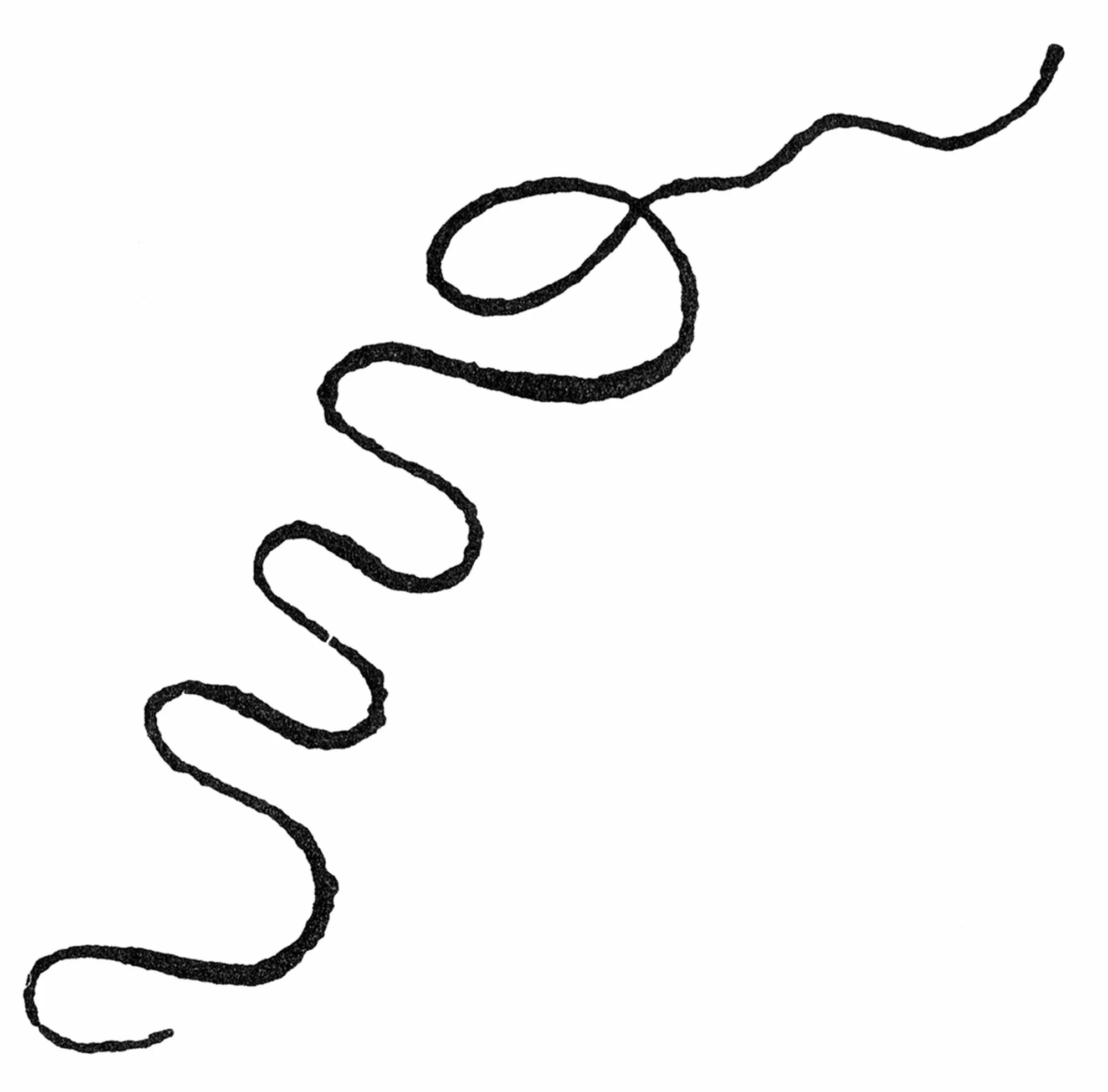 Disable squiggles