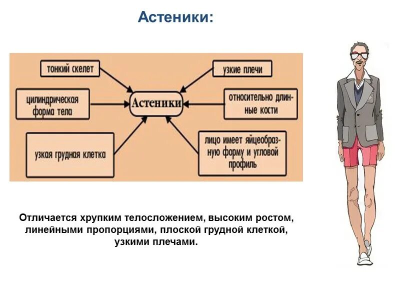 Тип людей астеник. Астеник психотип. астеник характеристика. психотип биология. астеник строение и функции.